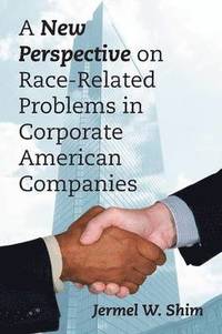 bokomslag A New Perspective on Race-Related Problems in Corporate American Companies