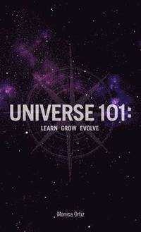 bokomslag Universe 101
