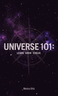 bokomslag Universe 101