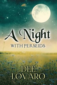 bokomslag A Night With Perseids