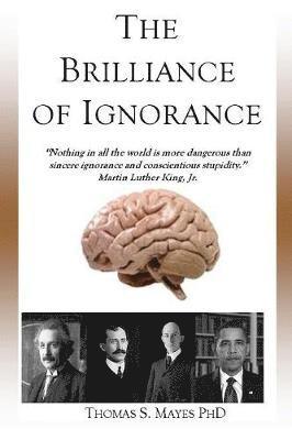 bokomslag Brilliance of Ignorance