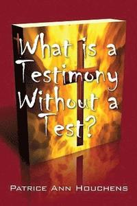 bokomslag What Is a Testimony Without a Test?