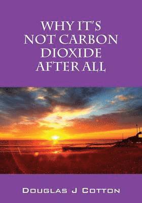 Why It's Not Carbon Dioxide After All 1