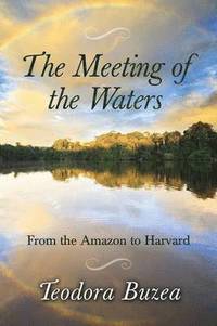 bokomslag The Meeting of the Waters