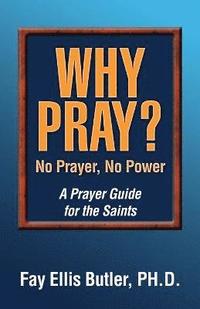 bokomslag Why Pray? No Prayer, No Power