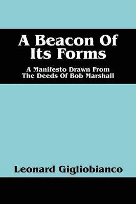 bokomslag Beacon of Its Forms