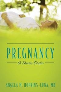 bokomslag Pregnancy