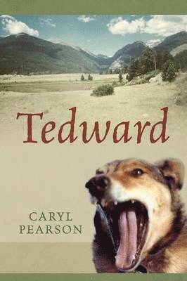 Tedward 1