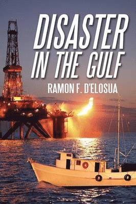 bokomslag Disaster in the Gulf