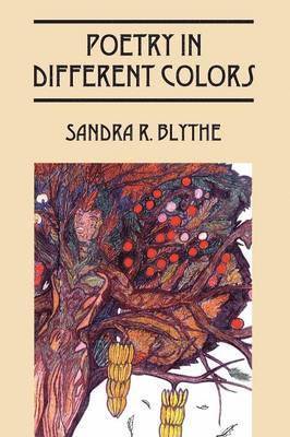 Sandra R Blythe, Sandra R. Blythe - Poetry in Different Colors, Häftad