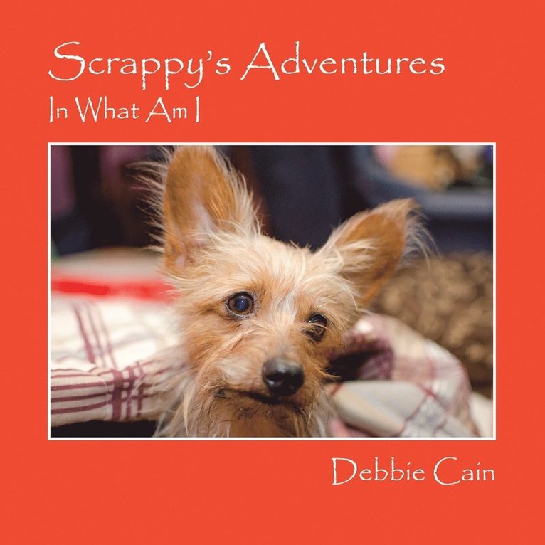 Debbie Cain - Scrappy's Adventures, Häftad