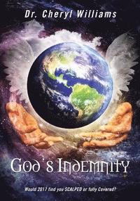 bokomslag God's Indemnity