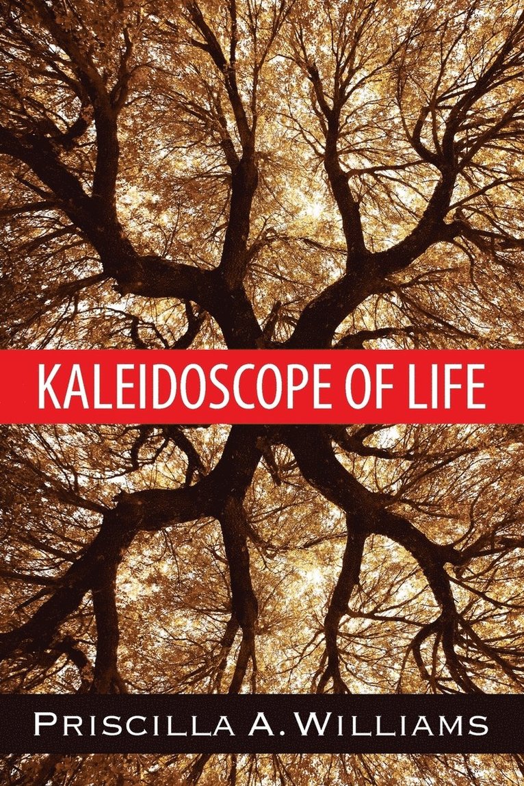 Kaleidoscope of Life 1