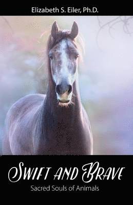 Swift and Brave 1