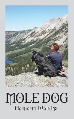 Mole Dog 1