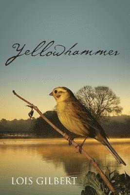 Yellowhammer 1