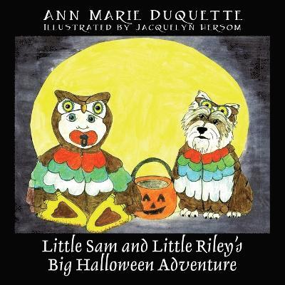 Ann Marie DuQuette, Ann Marie Duquette - Little Sam and Little Riley's Big Halloween Adventure, Häftad