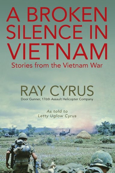 bokomslag A Broken Silence in Vietnam