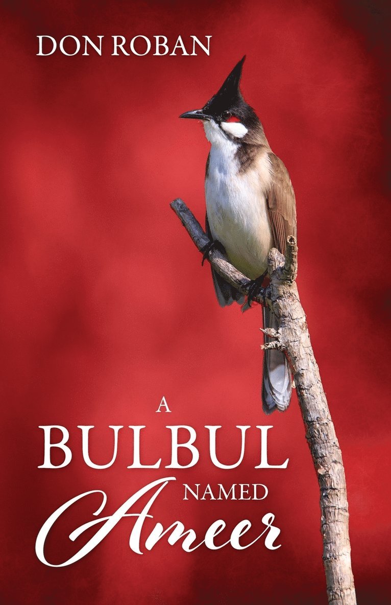 A Bulbul Named Ameer 1