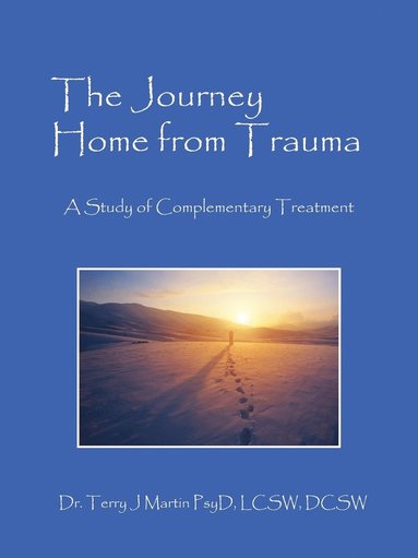 bokomslag The Journey Home from Trauma