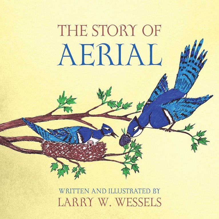 The Story of Aerial 1