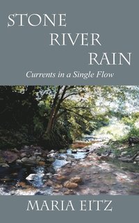 bokomslag Stone River Rain