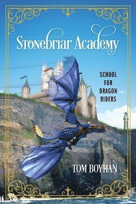 bokomslag Stonebriar Academy