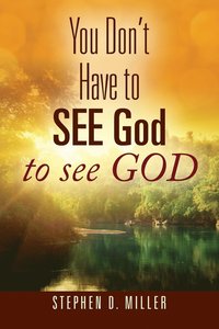 bokomslag You Don't Have to SEE God to see GOD