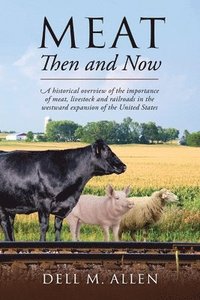 bokomslag Meat Then and Now