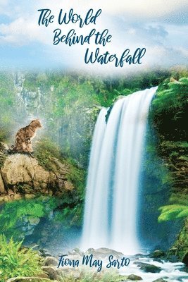bokomslag The World Behind the Waterfall