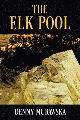 The Elk Pool 1