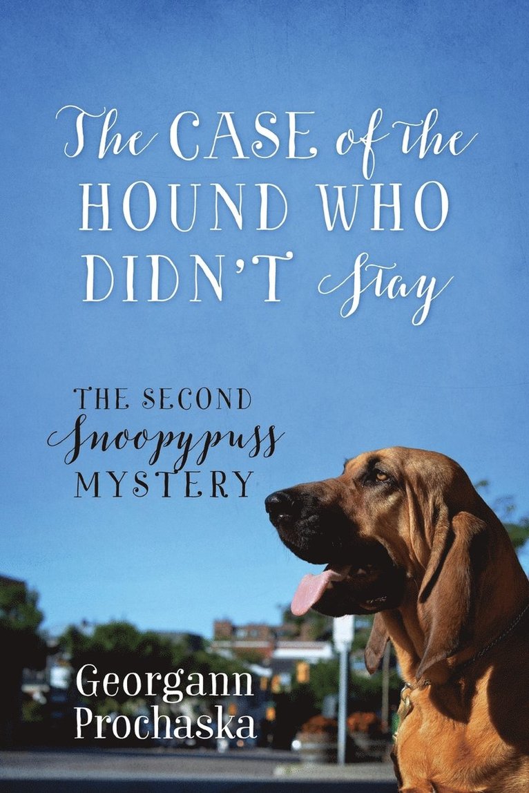 The Case of the Hound Who Didn't Stay 1