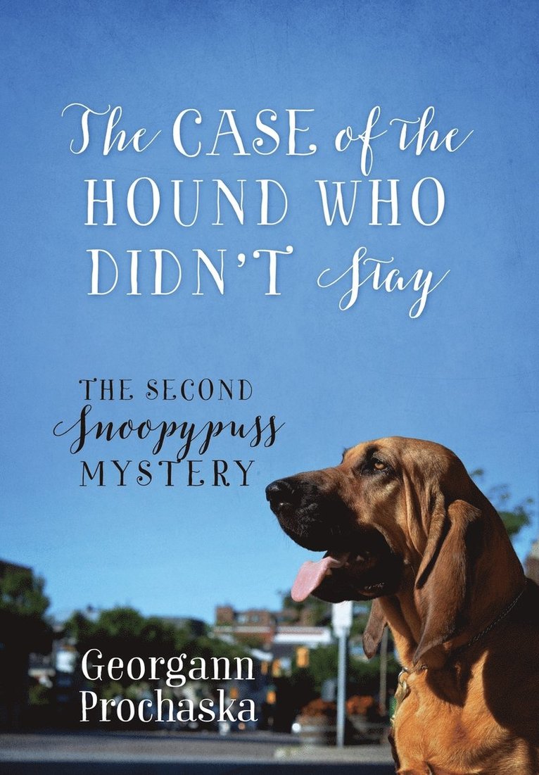 The Case of the Hound Who Didn't Stay 1