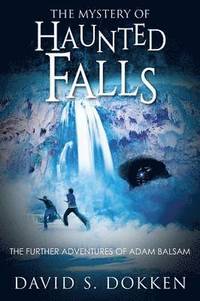 bokomslag The Mystery of Haunted Falls
