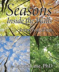 bokomslag Seasons Inside the Walls