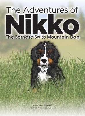 The Adventures of NIKKO 1