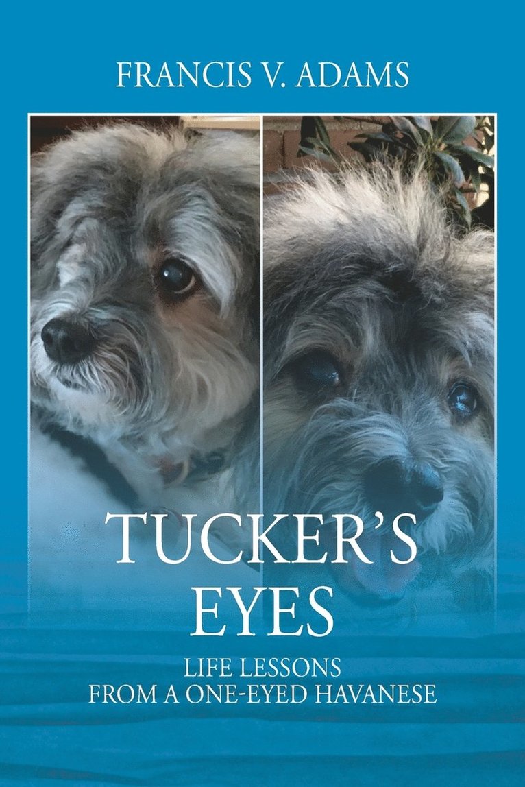 Francis V Adams, Francis V. Adams - Tucker's Eyes, Häftad
