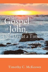 bokomslag THE GOSPEL of JOHN, ONE DAY at a TIME