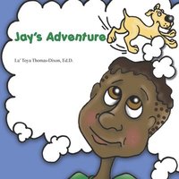 bokomslag Jay's Adventure