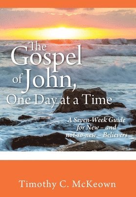 THE GOSPEL of JOHN, ONE DAY at a TIME 1