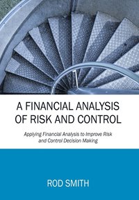 bokomslag A Financial Analysis of Risk and Control