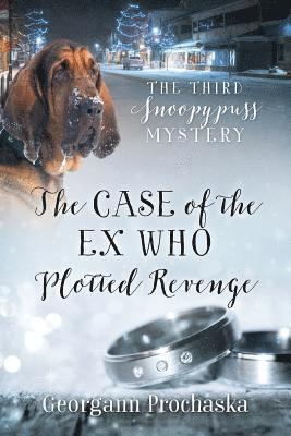 bokomslag The Case of the Ex Who Plotted Revenge