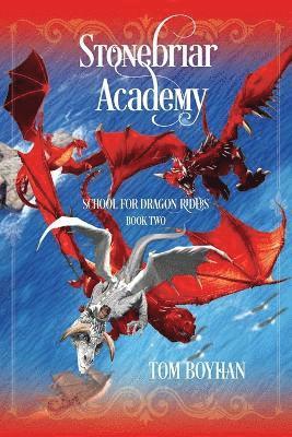 bokomslag Stonebriar Academy