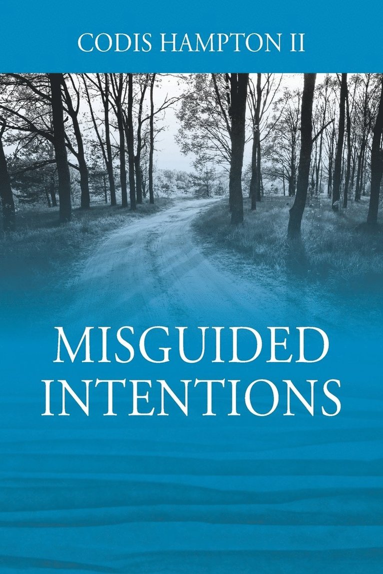 Misguided Intentions 1