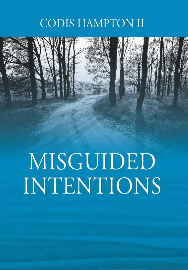 Misguided Intentions 1