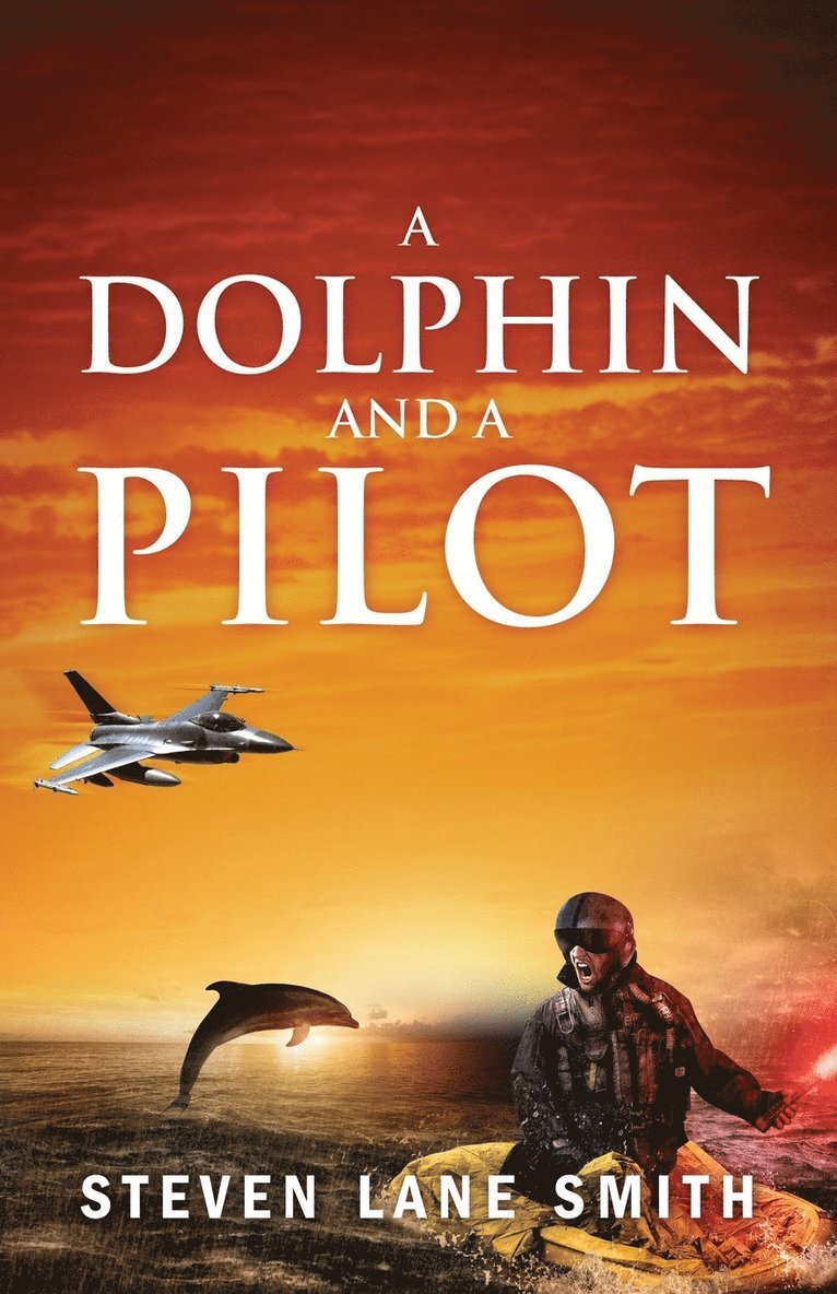 A Dolphin and a Pilot 1