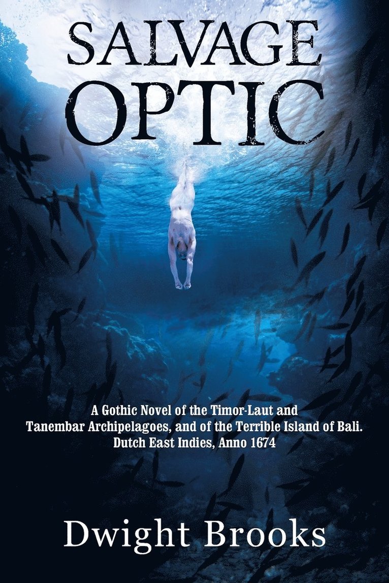 Dwight Brooks - Salvage Optic, Häftad