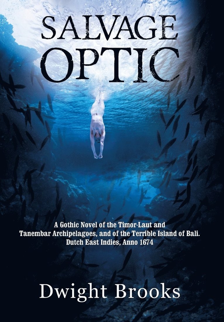 Dwight Brooks - Salvage Optic, Inbunden