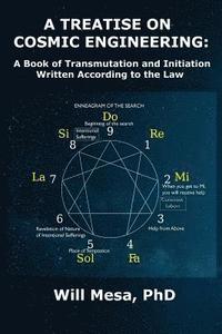 bokomslag Treatise on Cosmic Engineering