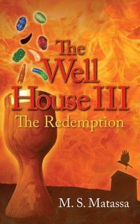 bokomslag The Well House III